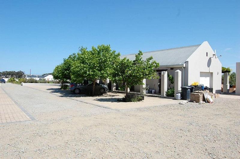 Longacre Olive & Vineyard Estate Guest House Langebaan Exterior photo